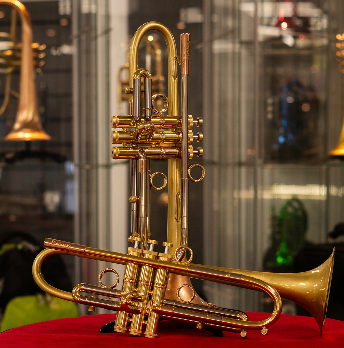 Taylor Piranha images (Dropbox)