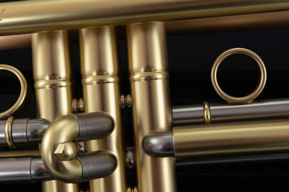 Taylor Chicago Standard Bb Trumpet