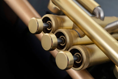 Taylor Chicago Standard Bb Trumpet