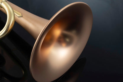 Taylor Chicago Standard Bb Trumpet