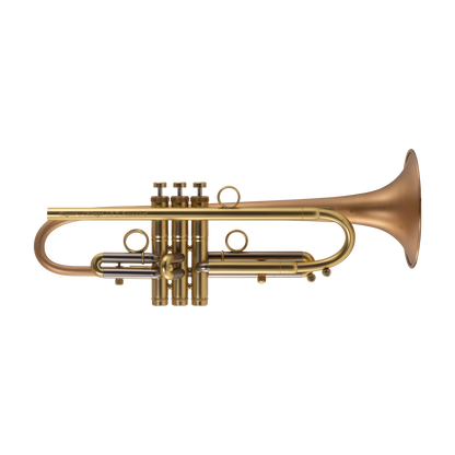 Taylor Chicago Standard Bb Trumpet