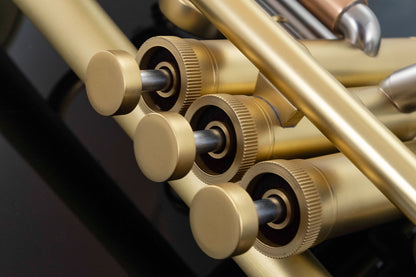 Taylor Tornado Bb Trumpet