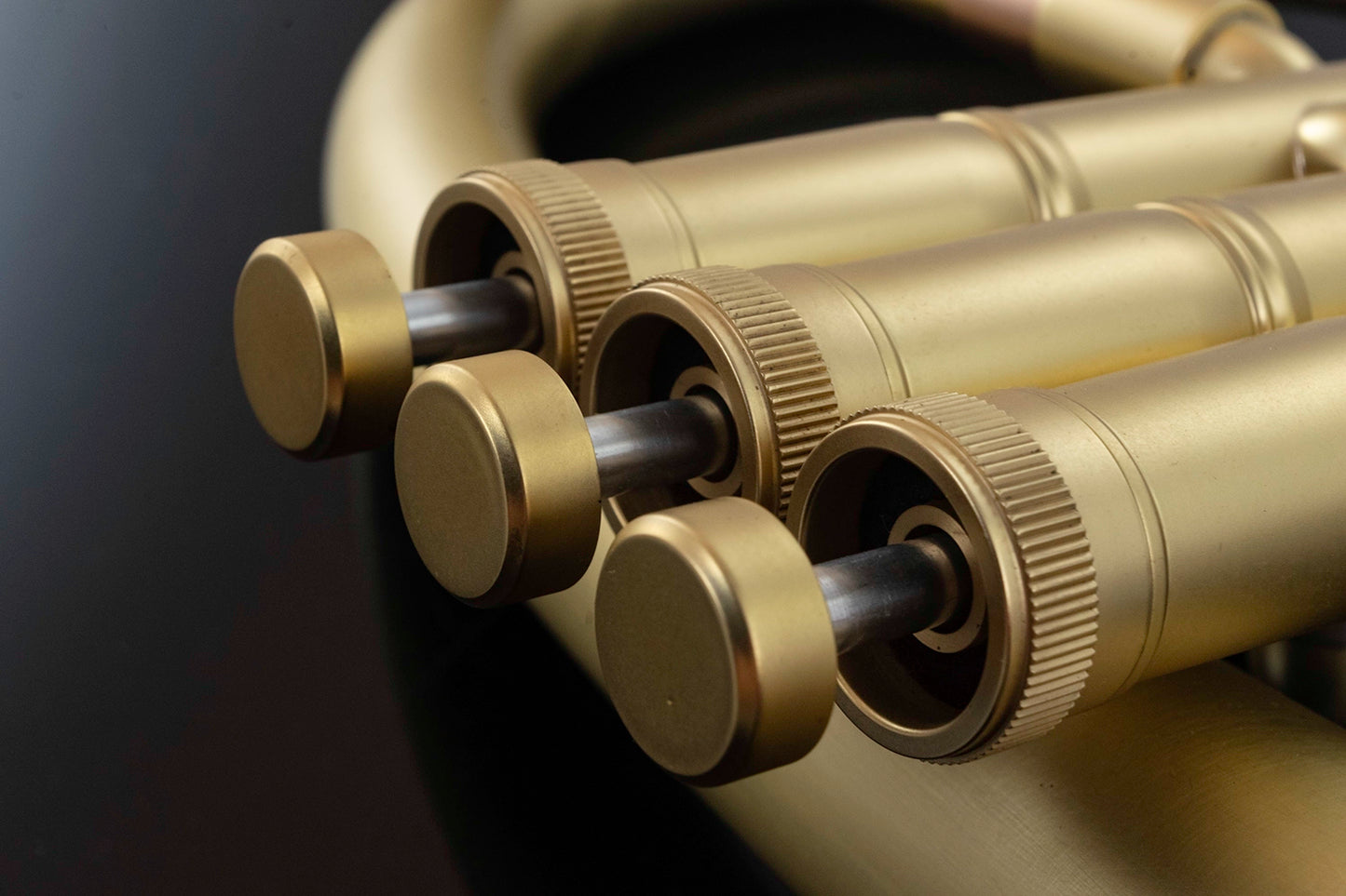 Taylor Phat Boy 'Signature' Flugel Horn