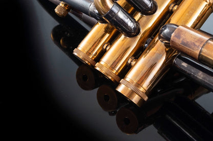 Taylor Piranha Bb Trumpet