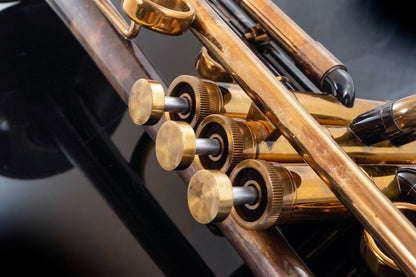 Taylor Piranha Bb Trumpet