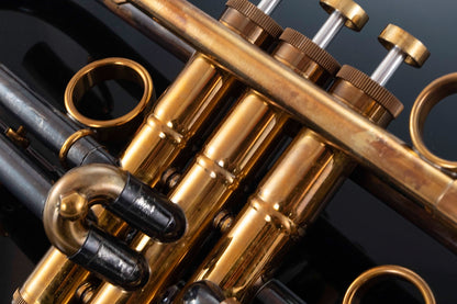 Taylor Piranha Bb Trumpet