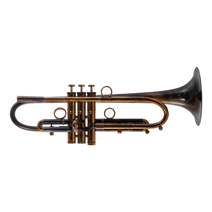 Taylor Piranha Bb Trumpet