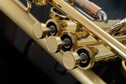 Taylor Piranha Bb Trumpet