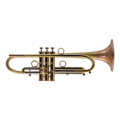 Taylor Piranha Bb Trumpet