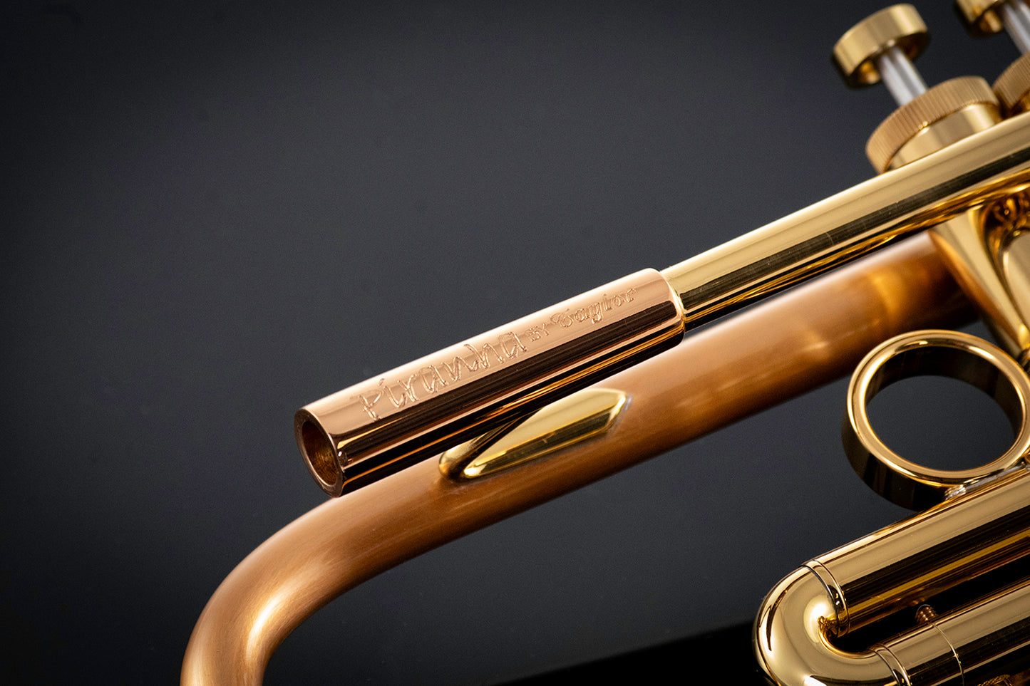 Taylor Piranha Bb Trumpet