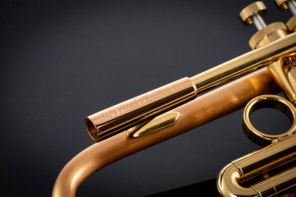 Taylor Piranha Bb Trumpet