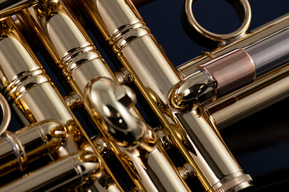 Taylor Piranha Bb Trumpet
