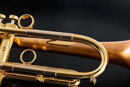 Taylor Piranha Bb Trumpet