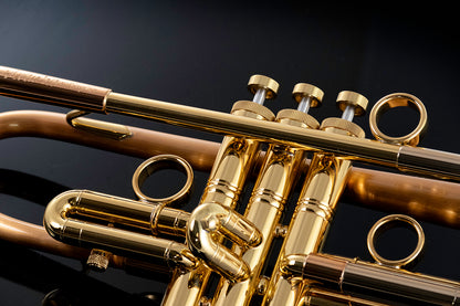 Taylor Piranha Bb Trumpet