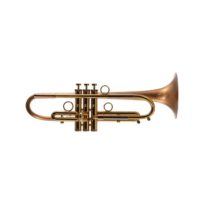 Taylor Piranha Bb Trumpet
