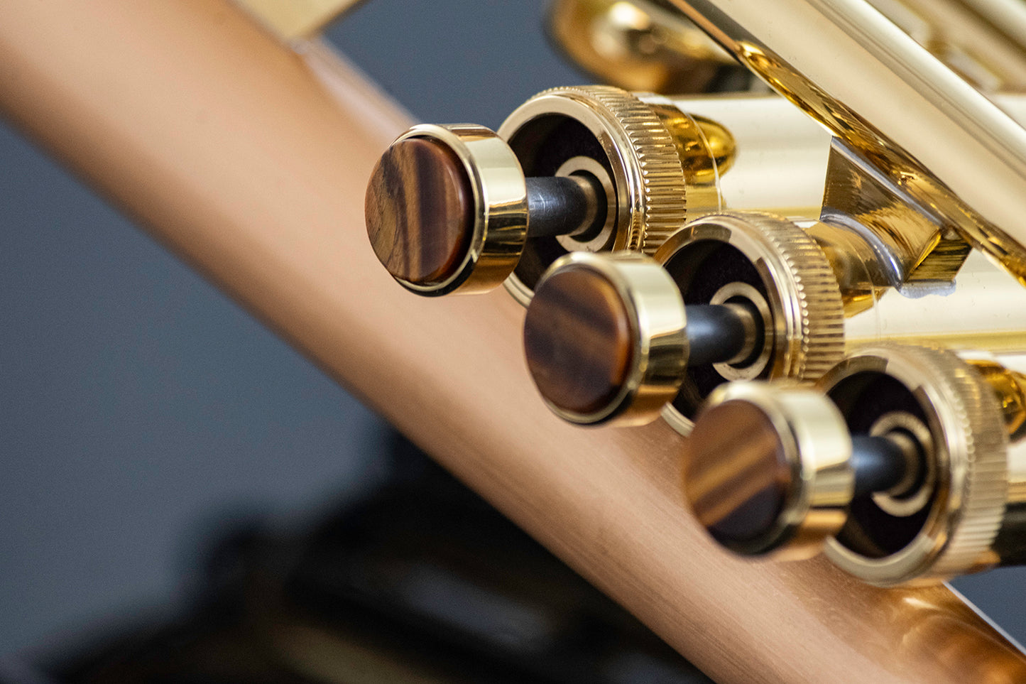 Ballad Horn