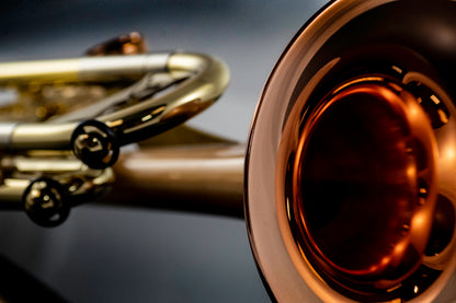 Ballad Horn