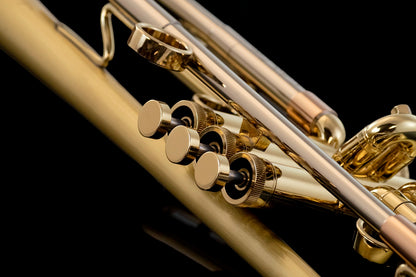 Tornado "Custom Shop' Bb Trumpet