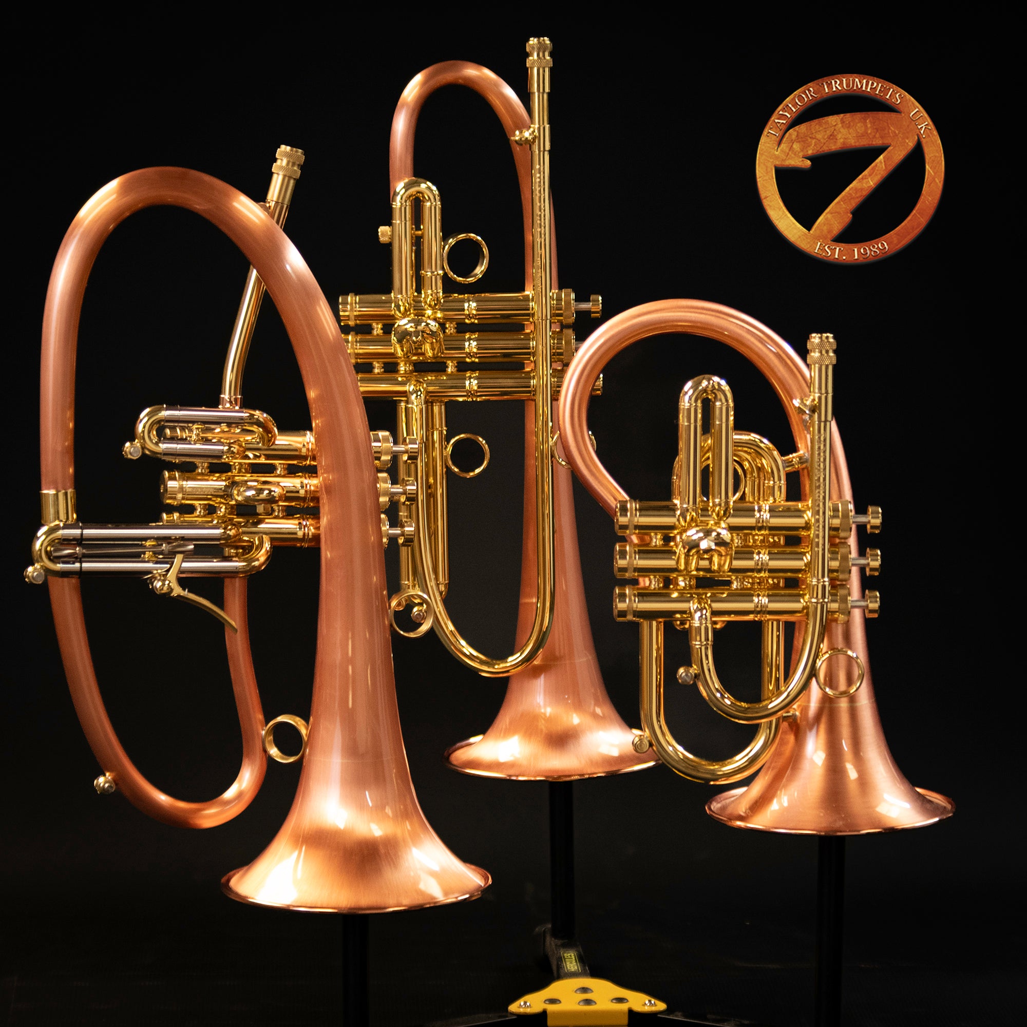 Flugel Rond Taylor Flugel Horn images (Dropbox) – Taylortrumpets