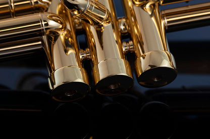 Taylor Chicago Lite Bb Trumpet