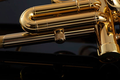Taylor Chicago Lite Bb Trumpet
