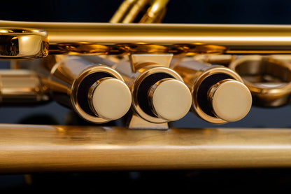 Taylor Chicago Lite Bb Trumpet