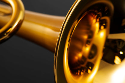 Taylor Chicago Lite Bb Trumpet