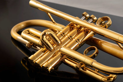 Taylor Chicago Lite Bb Trumpet