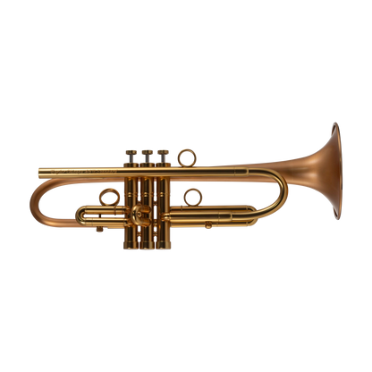 Taylor Chicago Standard Bb Trumpet
