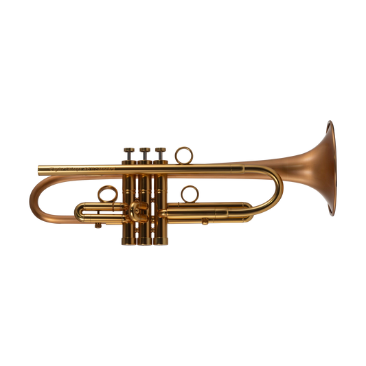 Taylor Chicago Standard Bb Trumpet