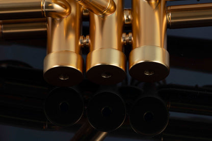 Taylor Chicago Standard Bb Trumpet