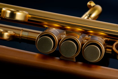 Taylor Chicago Standard Bb Trumpet