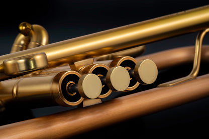 Taylor Chicago Standard Bb Trumpet