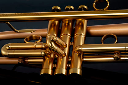 Taylor Chicago Standard Bb Trumpet