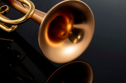 Taylor Chicago Standard Bb Trumpet