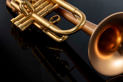 Taylor Chicago Standard Bb Trumpet