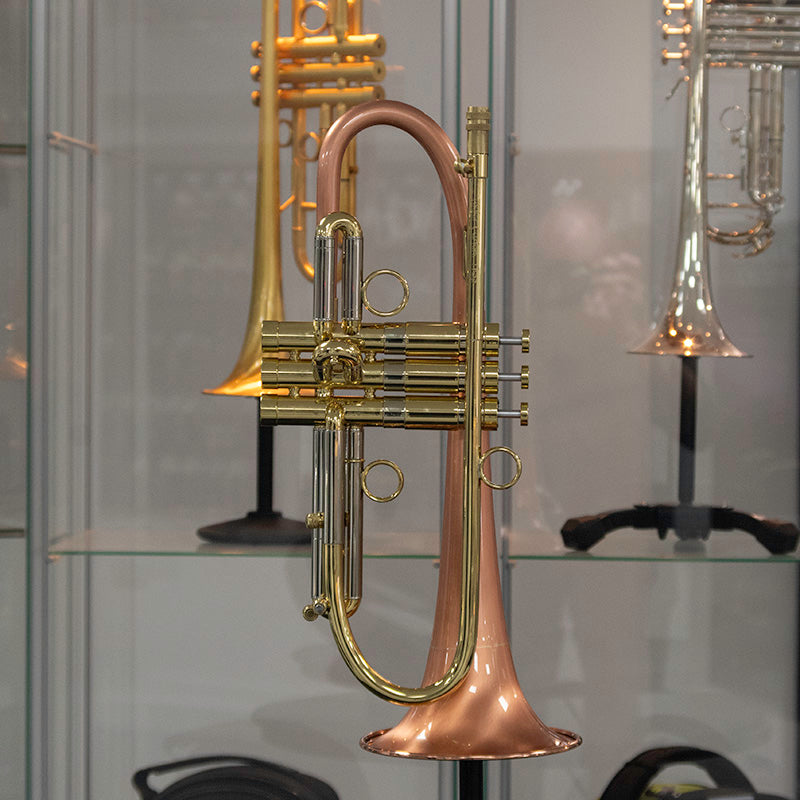 Taylor Phat Puppy Plus image (Dropbox)