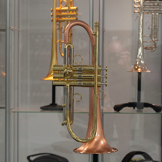 Taylor Phat Puppy Plus image (Dropbox)