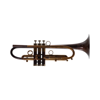 Taylor Nemesis Bb Trumpet