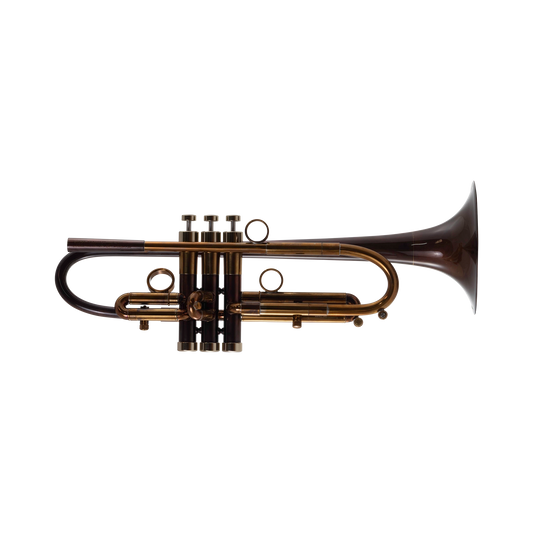 Taylor Nemesis Bb Trumpet