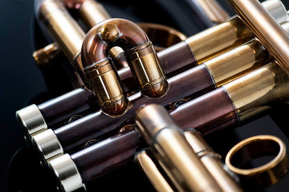 Taylor Nemesis Bb Trumpet