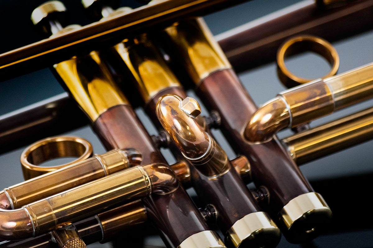 Taylor Nemesis Bb Trumpet