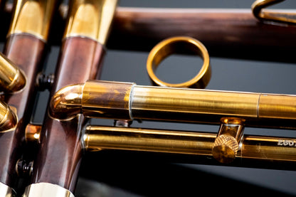 Taylor Nemesis Bb Trumpet