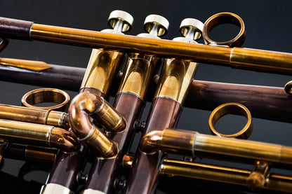 Taylor Nemesis Bb Trumpet