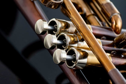 Taylor Nemesis Bb Trumpet