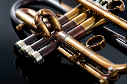 Taylor Nemesis Bb Trumpet