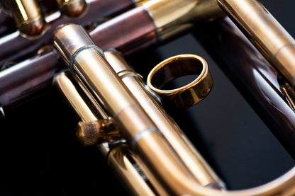 Taylor Nemesis Bb Trumpet