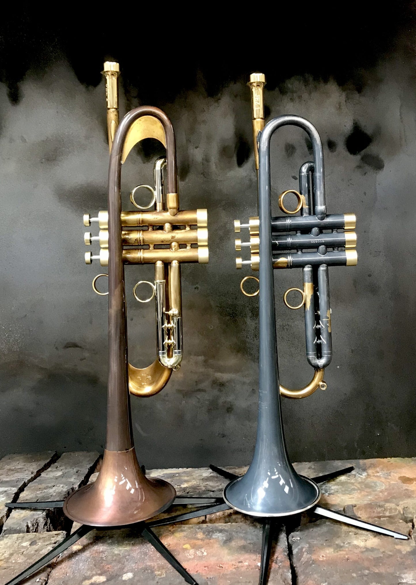 Taylor Hybrid images (Dropbox)